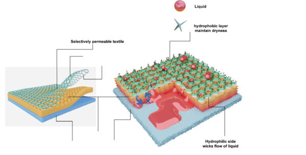 science graphic design