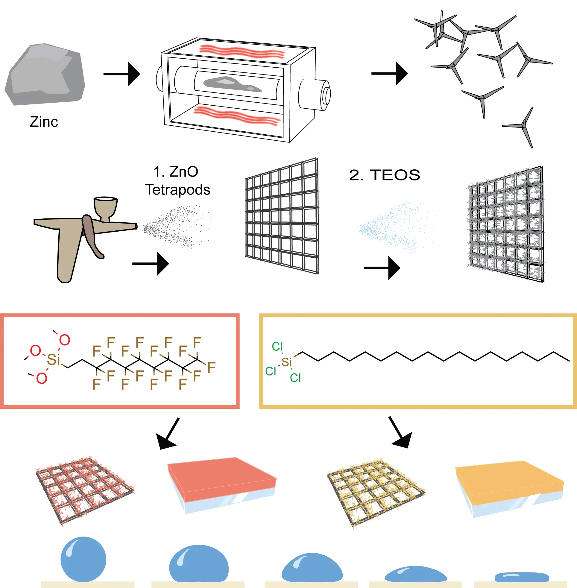 scientific figure -tetrapods
