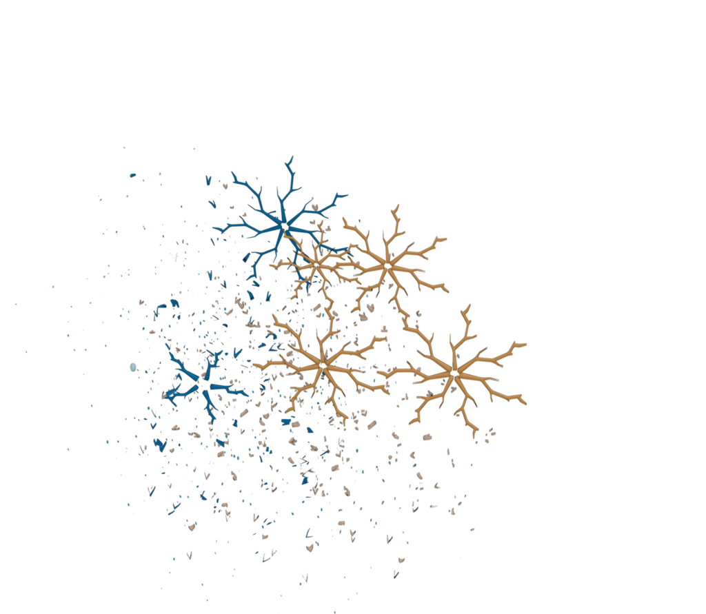 Scientific figure of cells in the act of degradation, a key aspect of cellular function.